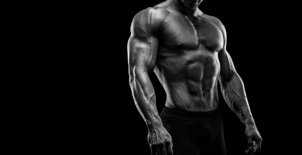 Как быстро растут мышцы