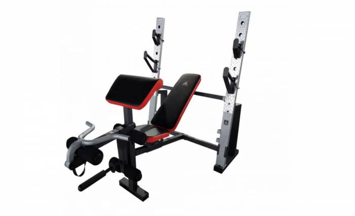 Скамья под штангу с опциями DFC D1606