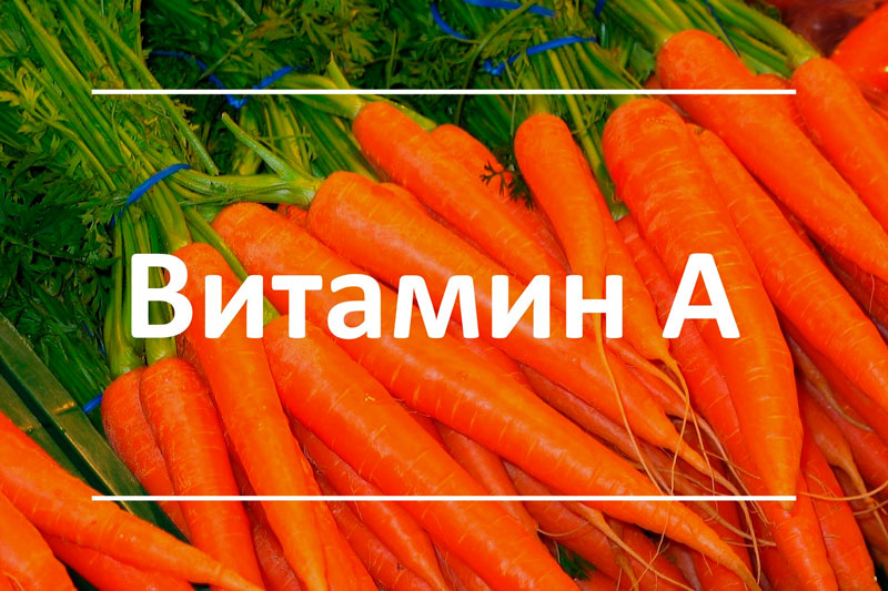 Польза, источники и токсичность витамина А