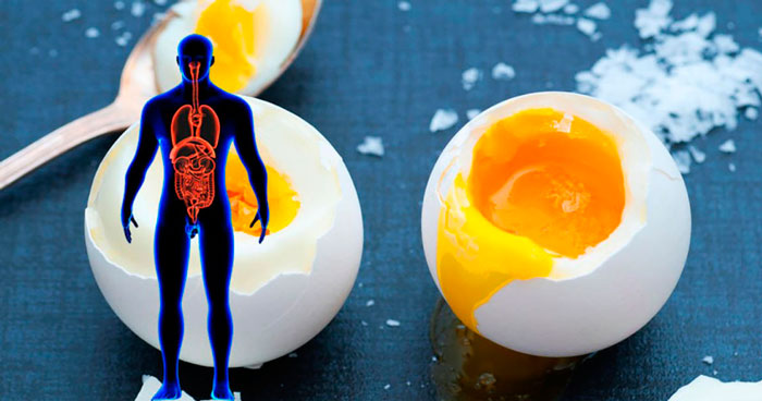 Яйца и холестерин