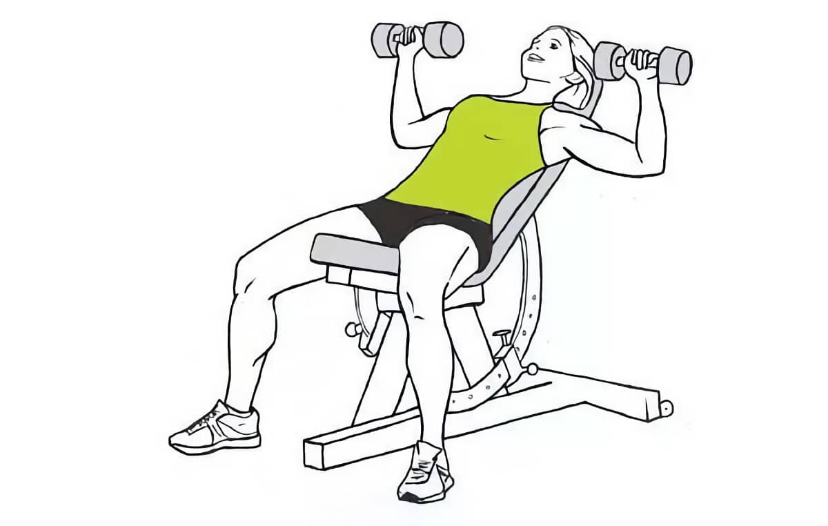 Жим гантелей