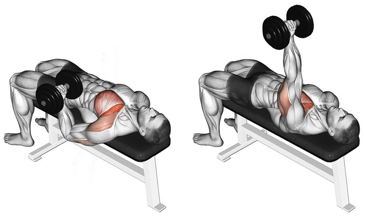 жим гантели одной рукой