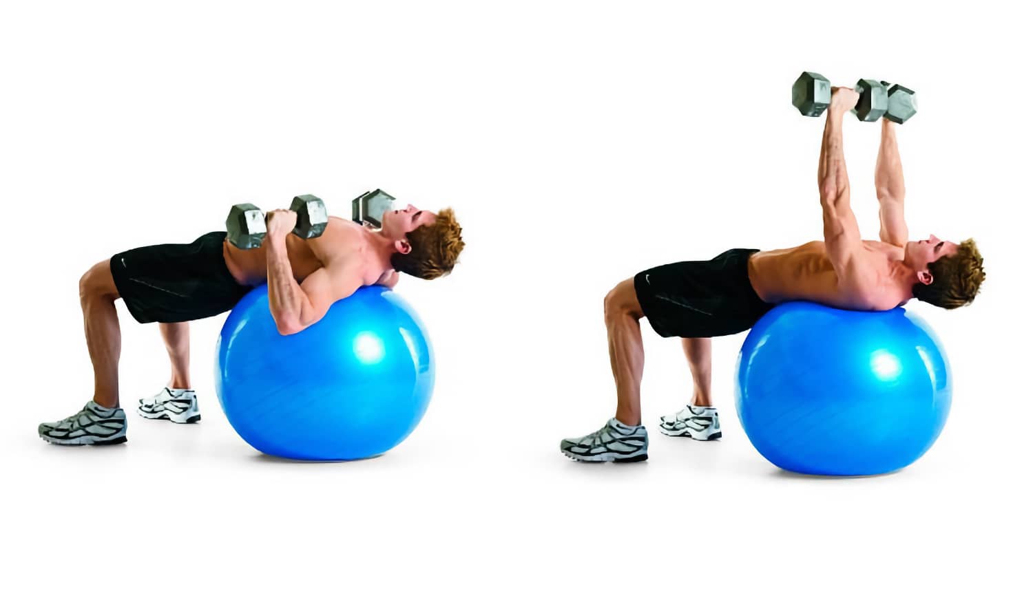 жим гантелей лежа на фитболе